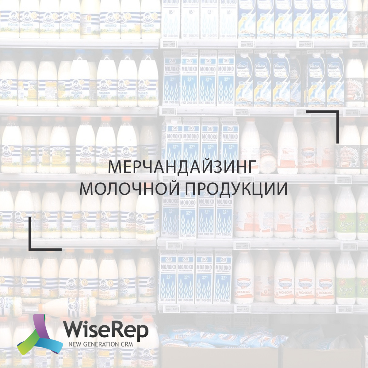 Мерчандайзинг молочной продукции